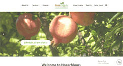 Desktop Screenshot of hosachiguru.com